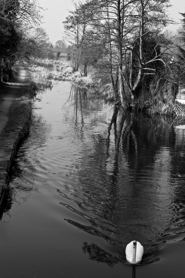 The Cross Keys Hotel Llanymynech Eksteriør bilde